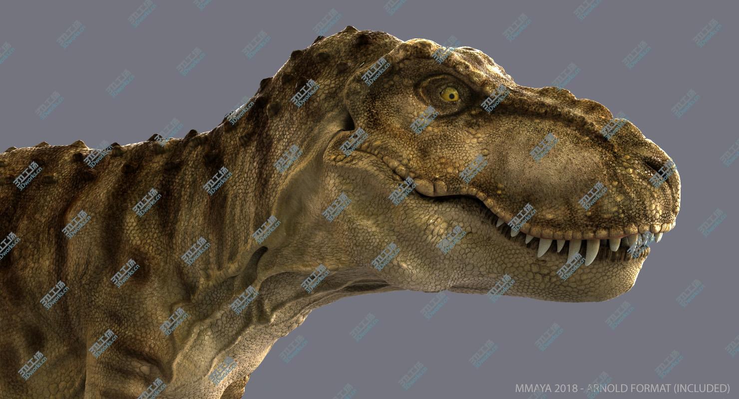 images/goods_img/2021040234/Tyrannosaurus Rex (Animated)/5.jpg